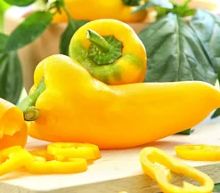 Dehner Peperoni- & Paprikapflanzen > Spitzpaprika,