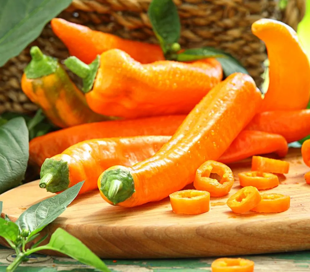 Dehner Peperoni- & Paprikapflanzen - Spitzpaprika, Orange