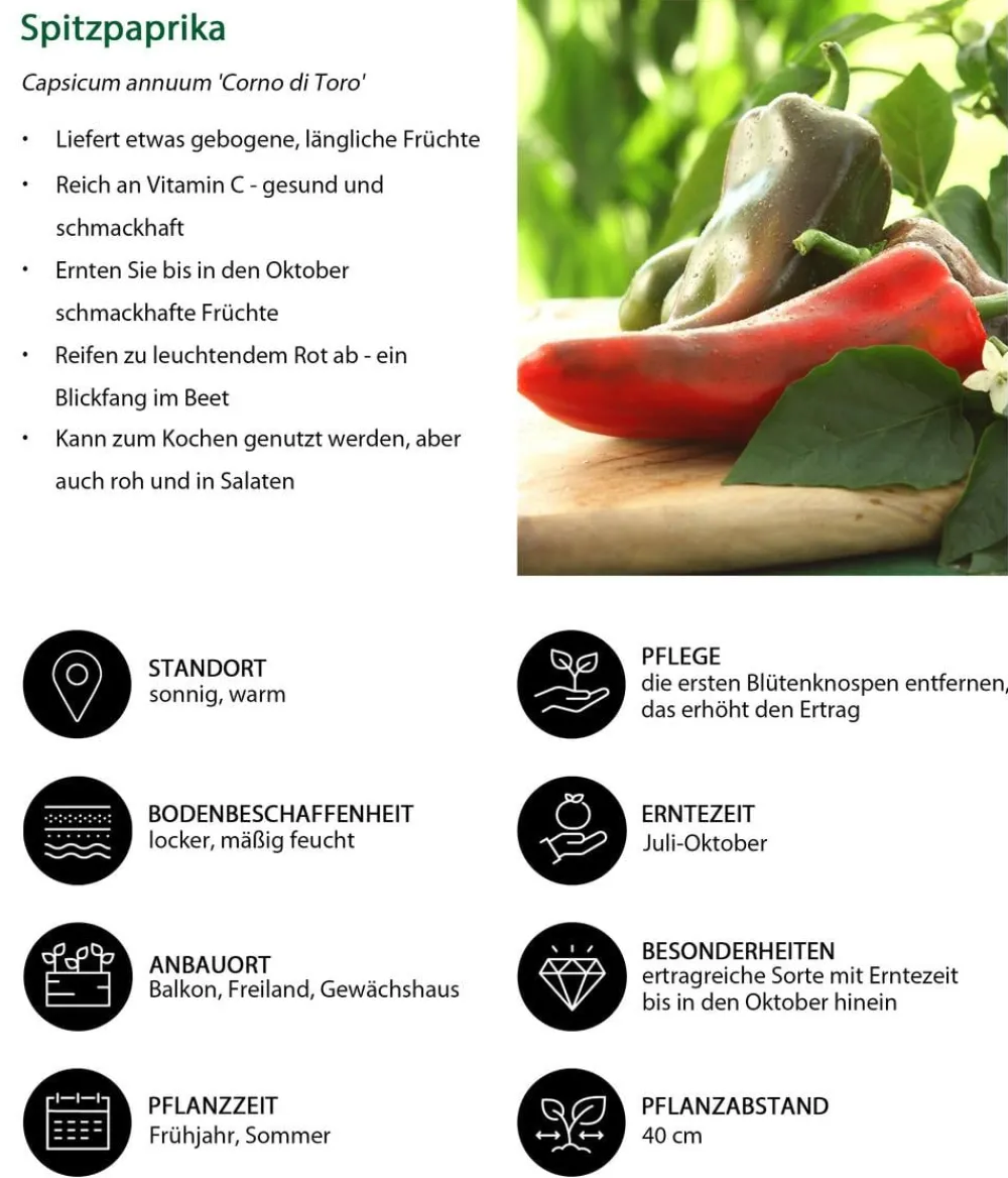 Dehner Spitzpaprika, Rot