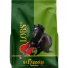 St. Hippolyt Pferdeleckerli Lobs-Belohnungswürfel, 1 kg Online