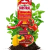 Substral® Dünger-Stäbchen für Tomaten, 10 Stk. Outlet