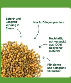 Substral® Langzeit Depotdünger Buchs & Hecken, 1,5 kg Best