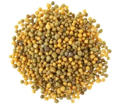 Substral® Langzeit Depotdünger Balkonblumen Discount