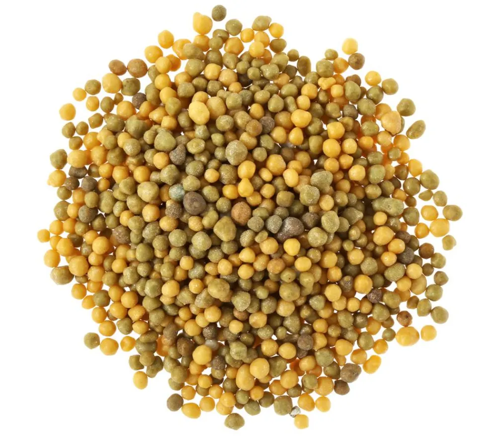 Substral® Langzeit Depotdünger Balkonblumen Discount