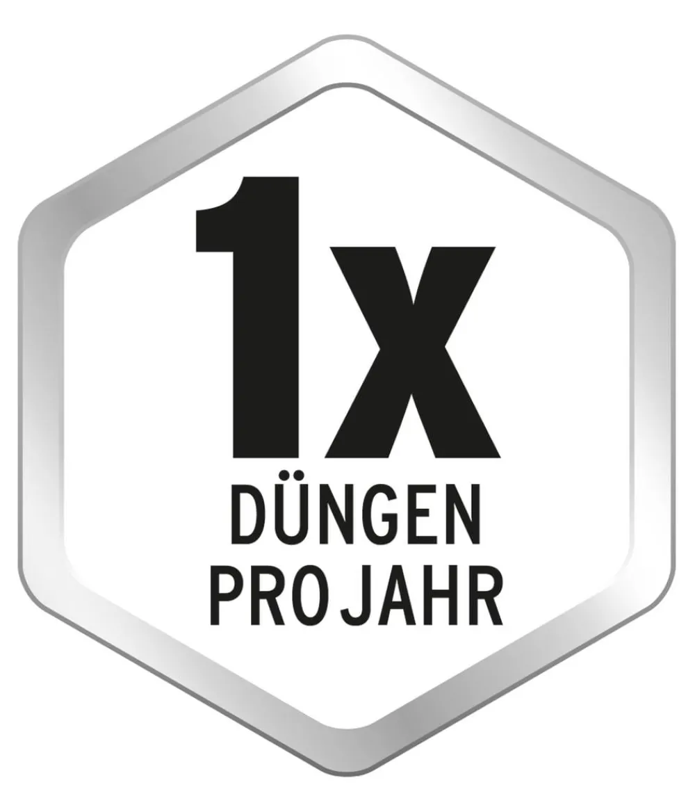 Substral® Blumendünger > Langzeit-Depotdünger für Rhododendren & Hortensien, 1,5 kg