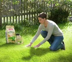 Substral® Rasensamen > Magisches Rasen-Pflaster