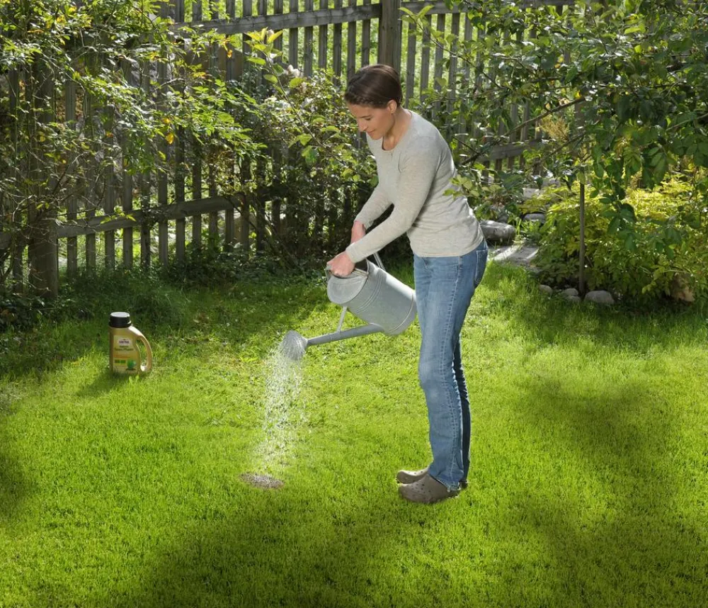 Substral® Rasensamen > Magisches Rasen-Pflaster