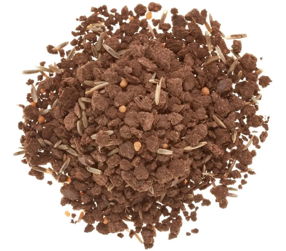 Substral® Rasensamen > Magisches Rasen-Pflaster