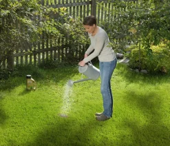 Substral® Magisches Rasen-Pflaster Clearance