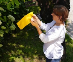 Naturen® Substral® Kirsch- & Walnussfruchtfliegen Fallensystem, 3 Stk. Outlet