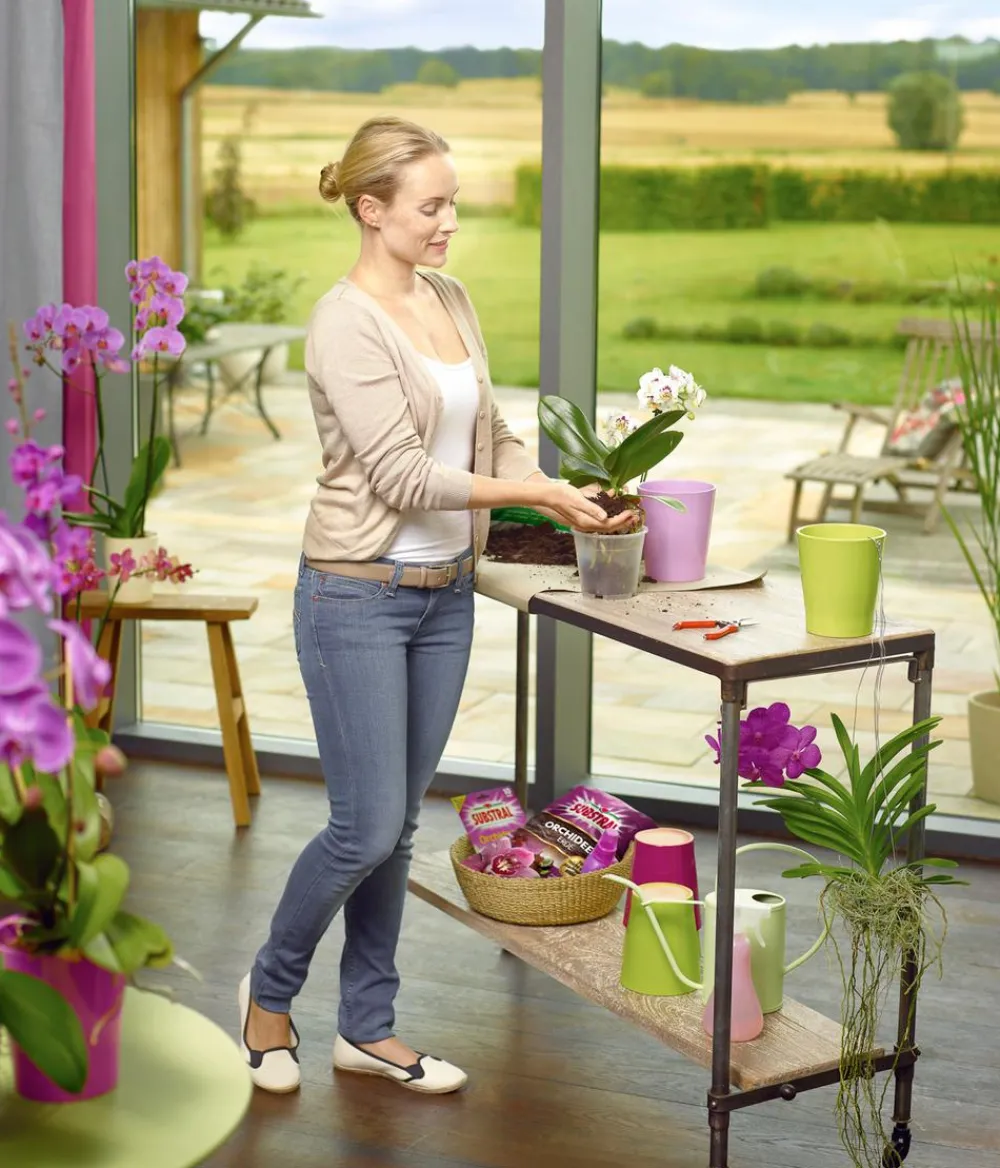 Substral® Blumendünger|Spezialdünger - Orchideen Dünger-Stäbchen, 10 Stk.