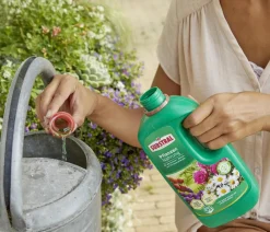 Substral® Pflanzennahrung, flüssig Clearance