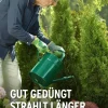 Substral® Spezialdünger > Thuja-Vital, flüssig, 500 ml