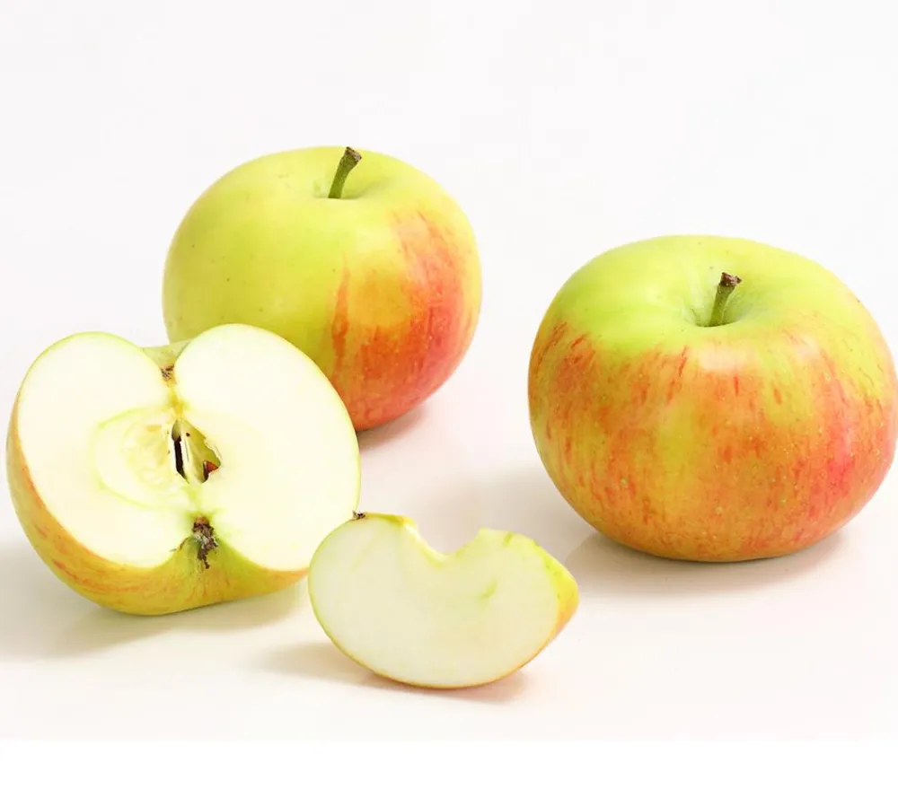 Dehner Säulenapfel 'Sonate' Online