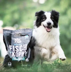 Tales & Tails Soft-Trockenfutter für Hunde Noch ganz Fisch im Kopp Outlet