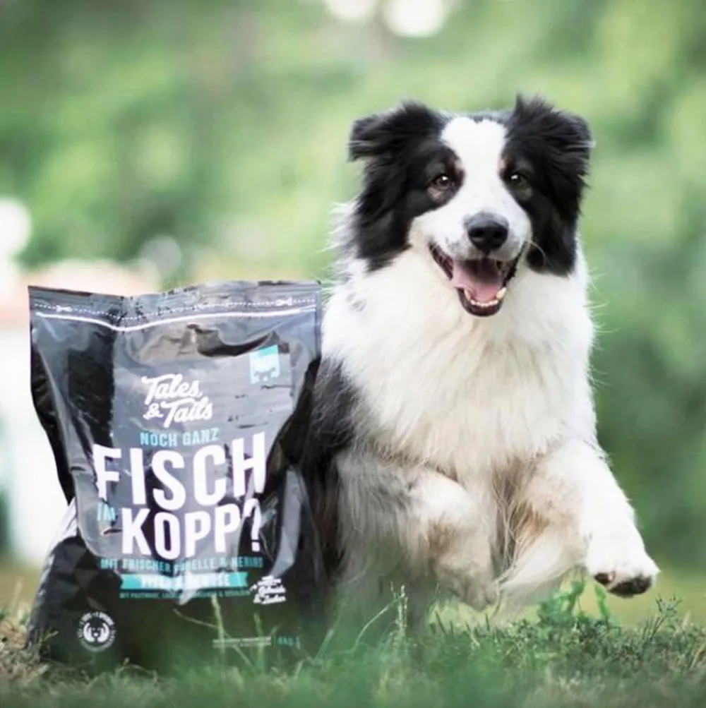 Tales & Tails Soft-Trockenfutter für Hunde Noch ganz Fisch im Kopp Outlet