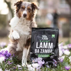 Tales & Tails Trockenfutter Hund > Soft-Trockenfutter für Hunde LammBa Zamba