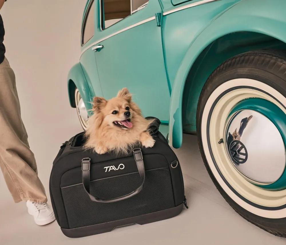 Tavo Hundetransportboxen > Autositz & Transporttasche Hendrick, ca. B34,5/H38/T54,5 cm