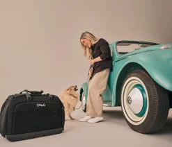 Tavo Hundetransportboxen > Autositz & Transporttasche Hendrick, ca. B34,5/H38/T54,5 cm