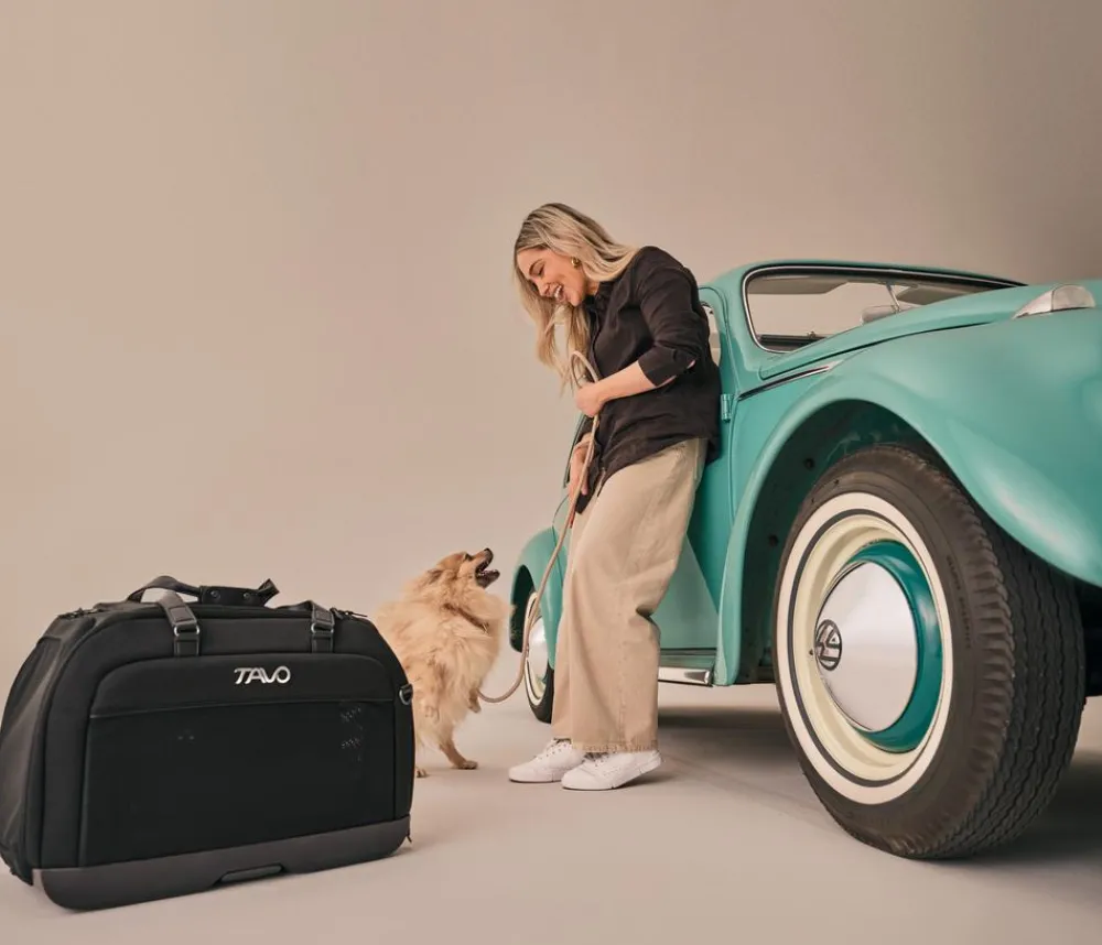 Tavo Hundetransportboxen > Autositz & Transporttasche Hendrick, ca. B34,5/H38/T54,5 cm