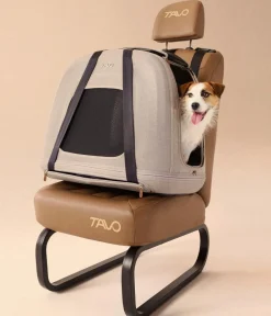 Tavo Tranportbox Cripin Taupe Sale