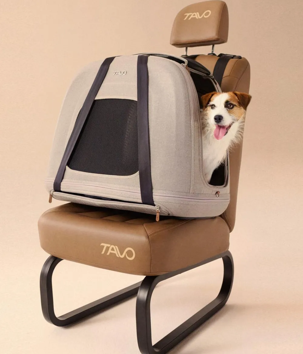 Tavo Tranportbox Cripin Taupe Sale