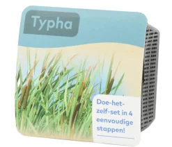 Dehner Aqua Gartenteich·TeichPflanzen|Teichpflanzen - Teichpflanzen Komplett-Set Breitblättriger Rohrkolben, 6-teilig