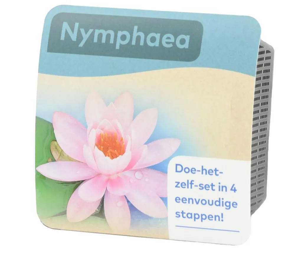 Dehner Aqua Gartenteich·TeichPflanzen|Teichpflanzen > Teichpflanzen Komplett-Set Seerose, 6-teilig