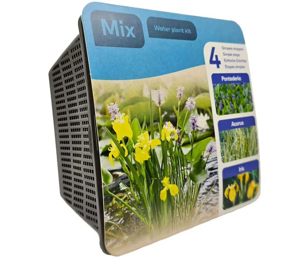 Dehner Aqua Gartenteich·TeichPflanzen|Teichpflanzen > Teichpflanzen Komplett-Set Vielfalt, 6-teilig