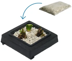 Dehner Aqua Gartenteich·TeichPflanzen|Teichpflanzen > Teichpflanzen Komplett-Set Vielfalt, 6-teilig