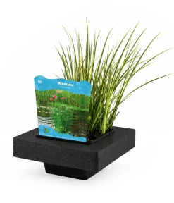 Dehner Aqua Gartenteich·Teich­­Pflanzen|Teichpflanzen > Teichpflanzen Komplett-Set Vielfalt, 6-teilig