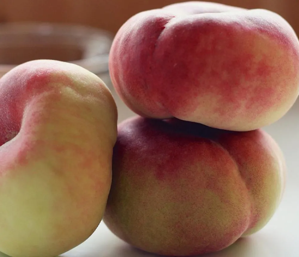 Dehner Teller-Pfirsich 'Sugar Baby®' Apricot Discount