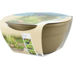 Dehner Aqua Gartenteich·Teich­­Pflanzen|Teichpflanzen > Terrassenteich-Set, 7-teilig
