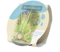 Dehner Aqua Gartenteich·Teich­­Pflanzen|Teichpflanzen > Terrassenteich-Set, 7-teilig
