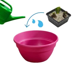 Dehner Aqua Terrassenteich-Set, 7-teilig Pink Clearance