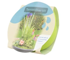 Dehner Aqua Gartenteich·TeichPflanzen|Teichpflanzen - Terrassenteich-Set, 7-teilig Lemon
