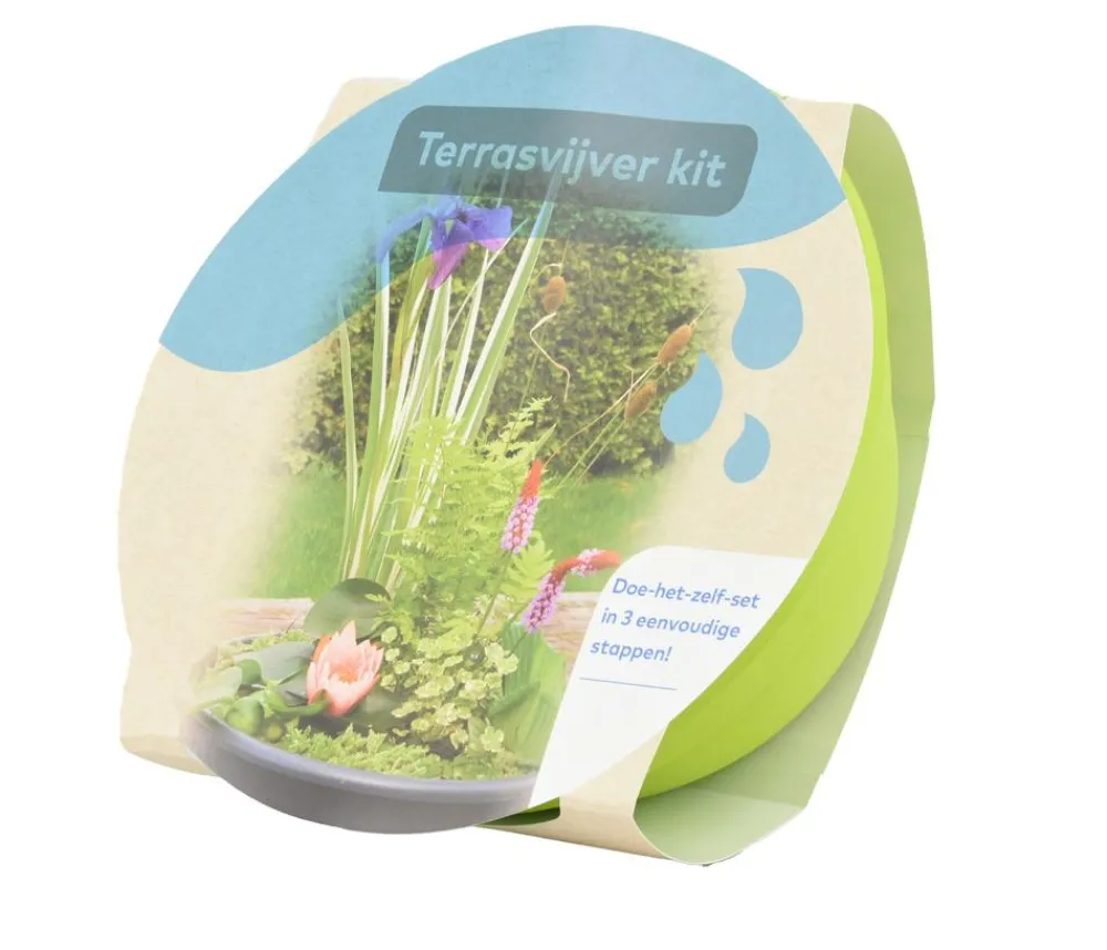 Dehner Aqua Gartenteich·TeichPflanzen|Teichpflanzen - Terrassenteich-Set, 7-teilig Lemon