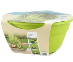 Dehner Aqua Gartenteich·TeichPflanzen|Teichpflanzen - Terrassenteich-Set, 7-teilig Lemon