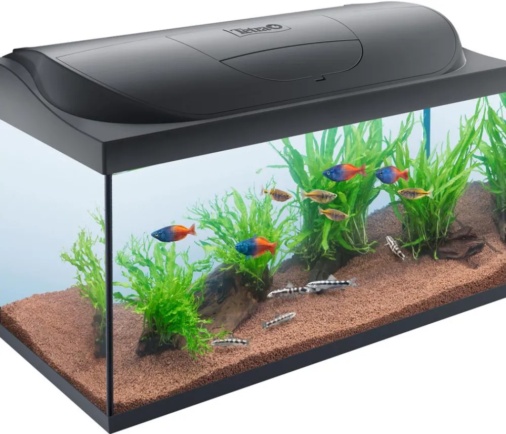 Tetra Einsteiger Aquarien > Aquarium-Set Starter Line LED, 105 l, ca. B76/H48/T37 cm