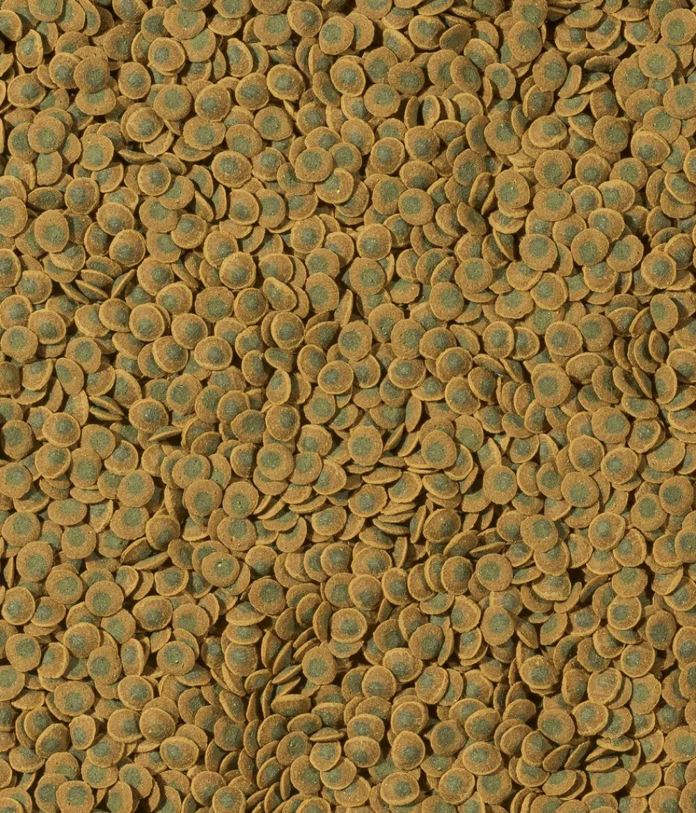 Tetra Fischfutter > Fischfutter Pleco VeggieWafers
