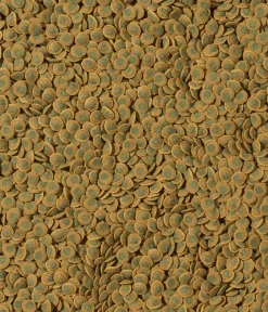 Tetra Fischfutter - Fischfutter Pleco VeggieWafers