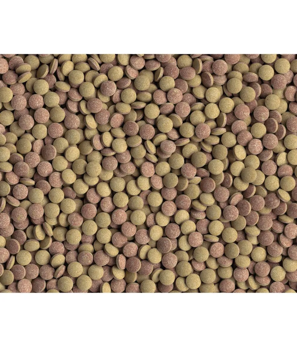 Tetra Fischfutter > Fischfutter Tablets TabiMin