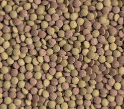 Tetra Fischfutter > Fischfutter Tablets TabiMin