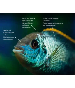 Tetra Fischfutter Pro Colour Multi-Crisps Online