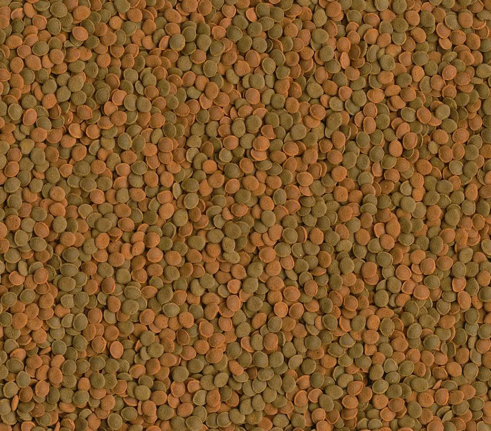 Tetra Fischfutter > Fischfutter Wafer MiniMix, 100 ml