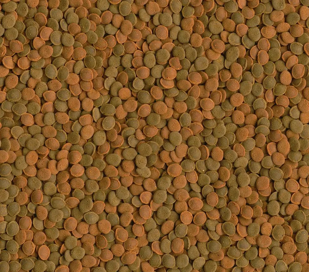 Tetra Fischfutter - Fischfutter Wafer Mix