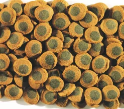 Tetra Fischfutter > Pleco SpirulinaWafers, 250 ml