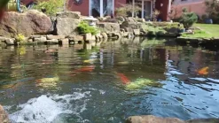 Tetra Gartenteich·Teichzubehör & Teichpflege|Teichzubehör & Teichpflege > Pond AlgoFin, Algenmittel