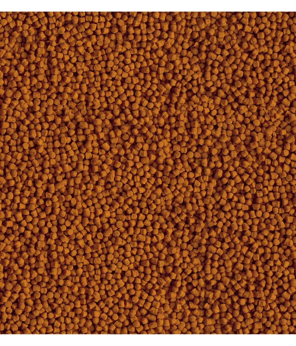 Tetra Pond Koi Mini Sticks, Fischfutter, 1 l Clearance