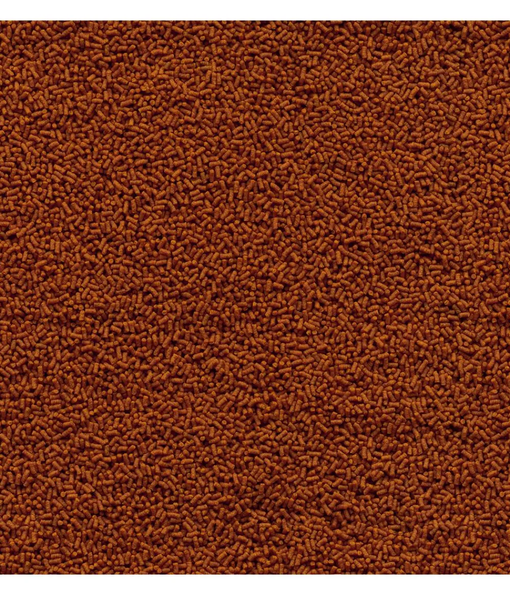 Tetra Pond Sterlet Sticks, Fischfutter, 1 l Sale